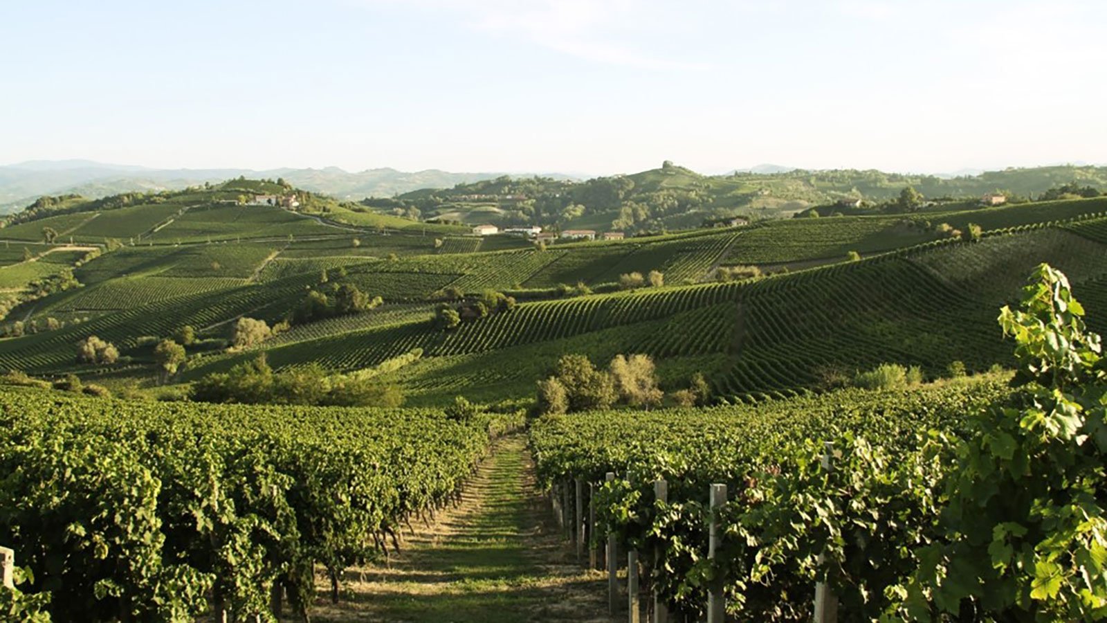 Monferrato