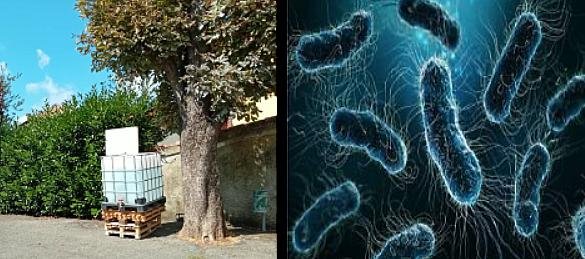 A Ponzone l’acqua dell’acquedotto è stata contaminata